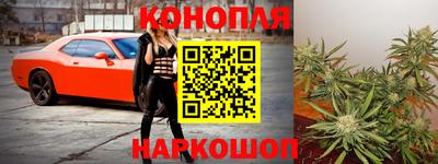 apvp Канаш